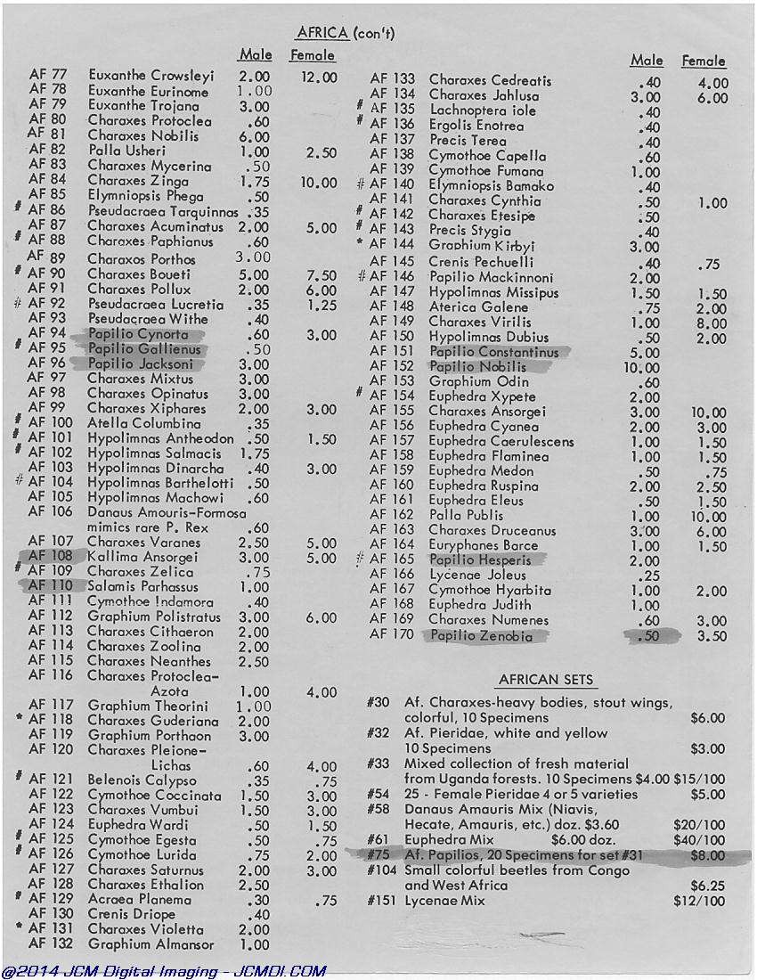 The Butterfly Company (NY) 4 Page catalog (1980-1981)